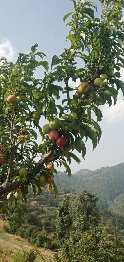 The Plum Apartment Mukteshwar Exterior photo